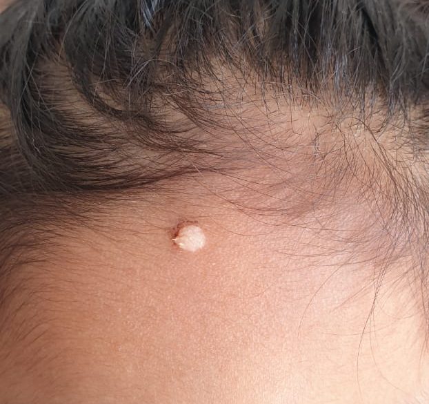 WhatsApp Image 2020-07-29 at 2.21.16 PM(2)